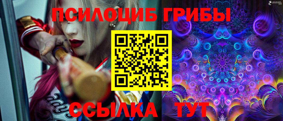 Галлюциногенные грибы мицелий  купить наркоту  Бугуруслан  Вход с VPN 