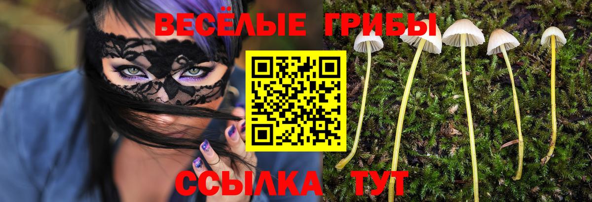 Псилоцибиновые грибы MAGIC MUSHROOMS Бугуруслан